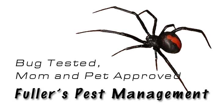 Insect and rodent pest control Roseburg Oregon